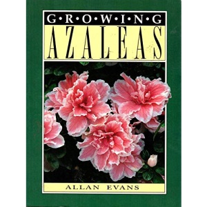 Growing Azaleas