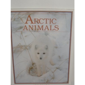 Arctic Animals (Arctic World)