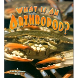 What is an Arthropod? (Science of Living Things)