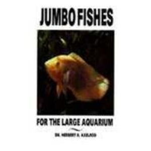 Jumbo Fishes for the Large Aquarium