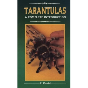 Tarantulas (Complete Introduction)