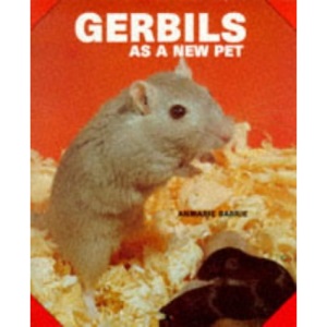 Gerbils as a New Pet