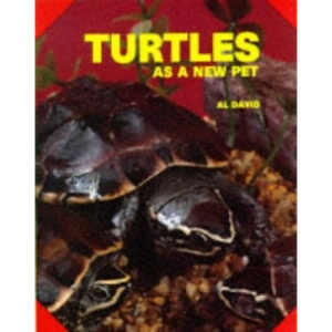 Turtles as a New Pet