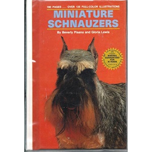 Minature Schnauzer