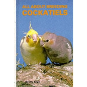 All About Breeding Cockatiels