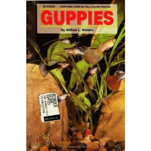 Guppies