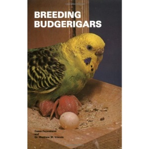 Breeding Budgerigars