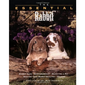 The Essential Rabbit (The Essential Guides)