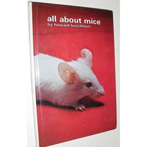 All about Mice