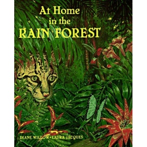 At Home in the Rain Forest