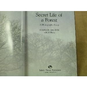 The Secret Life of a Forest: A Photographic Essay