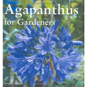 Agapanthus for Gardeners