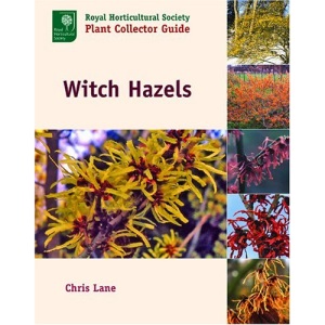 Witch Hazels (Royal Horticultural Society Plant Collector Guide)