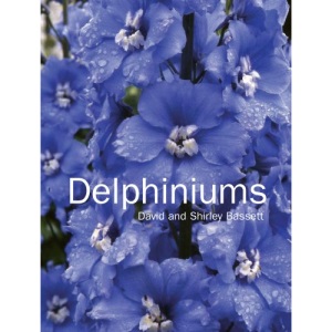 Delphiniums