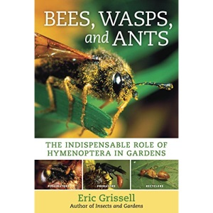 Bees, Wasps, and Ants