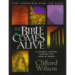 A Pictorial Journey Through the Books of Books: 1 (Bible Comes Alive)