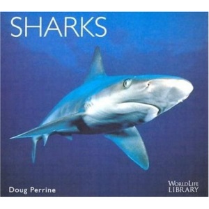 Sharks (World Life Library)