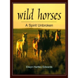 Wild Horses: A Spirit Unbroken
