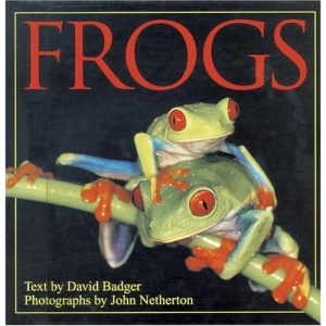 Frogs