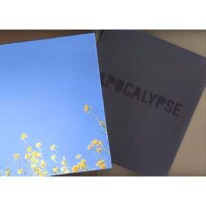 Apocalypse: Beauty and Horror in Contemporary Art