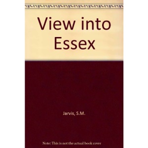 View into Essex