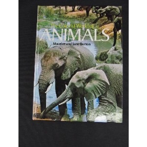The colourful world of animals