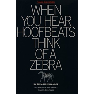 When You Hear Hoofbeats Think of a Zebra: Talks on Sufism