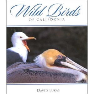 Wild Birds of California