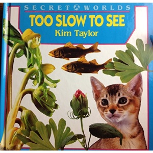 Too Slow to See (Secret Worlds)