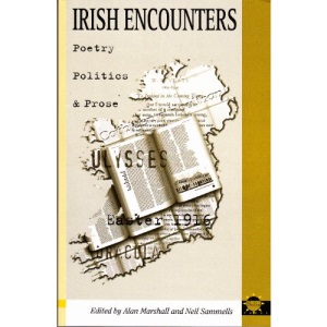 Irish Encounters: Poetry, Politics and Prose Since 1880