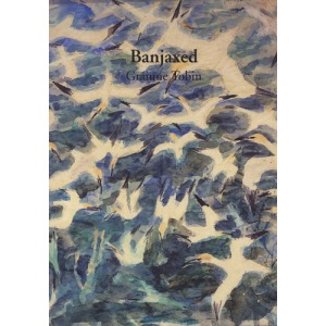 Banjaxed