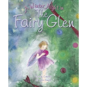 A Winter Night in the Fairy Glen