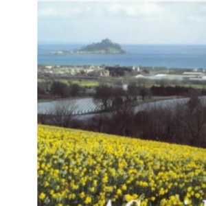 A Cornish Rhapsody: From a Penny Halfpenny an Hour to a Fortune
