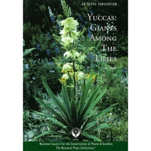 Yuccas: Giants Among the Lillies