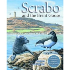 Scrabo and the Brent Goose