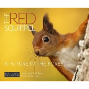 The Red Squirrel: A Future in the Forest