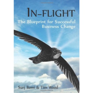 In-flight: The Blueprint for Successful Business Change