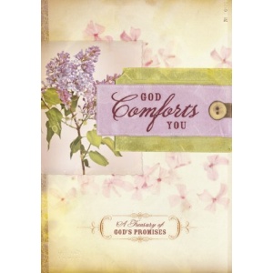 God Comforts You Promise Journal