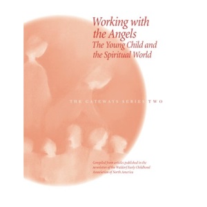 Working with the Angels: The Young Child and the Spiritual World (Gateways (Wecan))