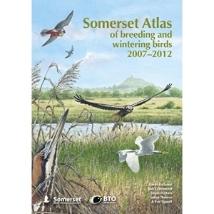 Somerset Atlas of Breeding and Wintering Birds 2007-2012 (BTO Bird Atlas - Regional Atlases [NHBS List])