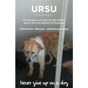 Ursu: Never give up on a dog