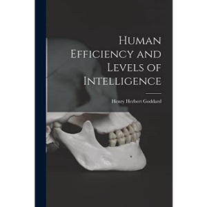 Human Efficiency and Levels of Intelligence