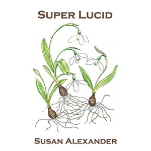 Super Lucid: 13 (The Snowdrop Mysteries)