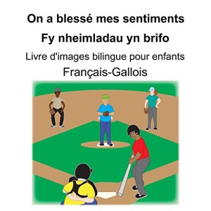Français-Gallois On a blessé mes sentiments/Fy nheimladau yn brifo Livre d'images bilingue pour enfants