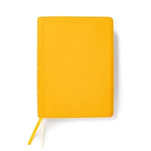 Lifeway Women's Bible, Marigold Leathertouch