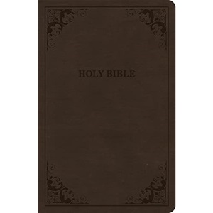 CSB Thinline Bible, Brown Leathertouch, Value Edition