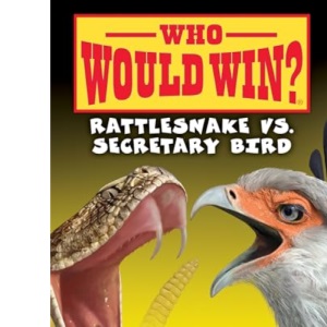 Rattlesnake vs. Secretary Bird (Who Would Win?)
