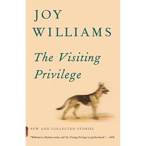 The Visiting Privilege: New and Collected Stories (Vintage Contemporaries)