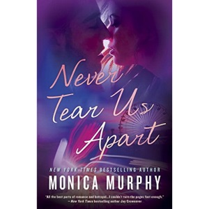 Never Tear Us Apart: A Novel
