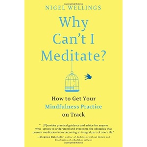 Why Can't I Meditate?: How to Get Your Mindfulness Practice on Track